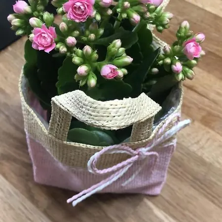 Lejlighed Klopein Sankt Kanzian am Klopeiner See