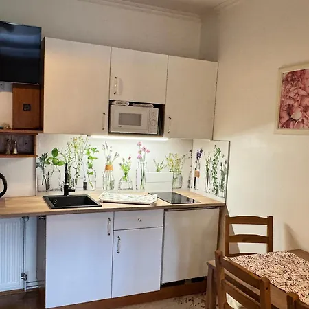 Klopein Lejlighed Sankt Kanzian am Klopeiner See